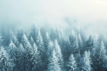 aerial view of serene winter forest with fog and hoarfrost