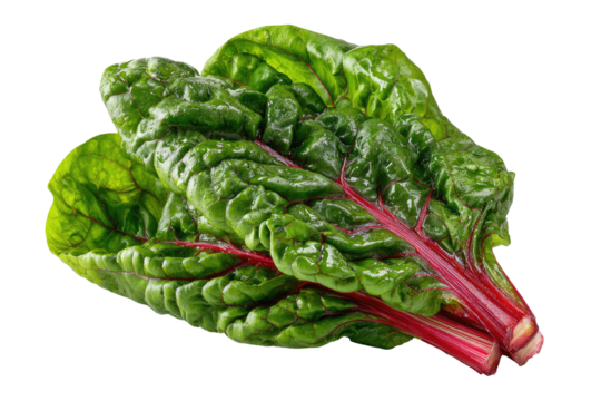 Close-up of fresh vibrant Swiss chard (1)