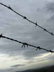 Barbed wire against the sky
