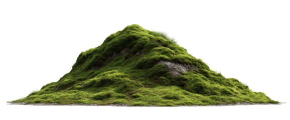 A lush, triangular mound of moss-covered rocks