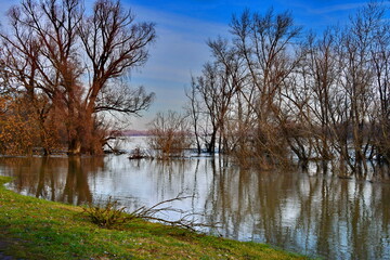 Obraz premium The river is flowing.