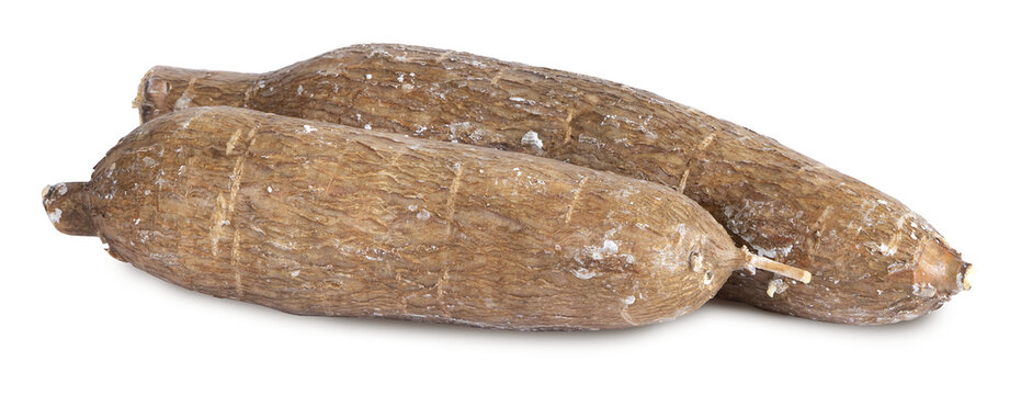 Tuberculess de manioc