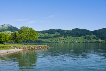 Scenic view of Vierwaldstätter See (Lake Lucerne) with a tree-lined shore and green hills in Switzerland.