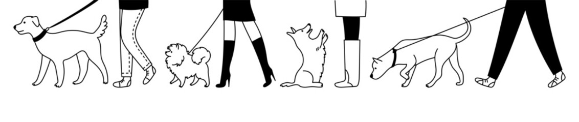 Doodle set of different human feet with dogs. People and pets. Vector line illustration of men and women with animals, isolated on white background.