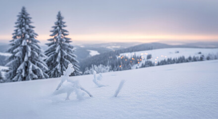 Fototapeta premium Winter landscape with snow-covered ground and trees. The scenery represents serene, cold, and peaceful winter atmosphere, evoking tranquility and escape