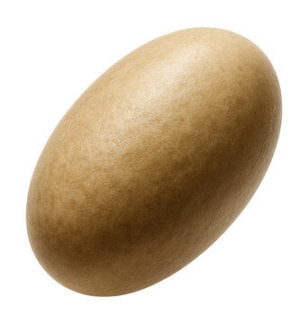 Ellipsoidal microfossil of nitrogen-fixing bacteria with a smooth surface.