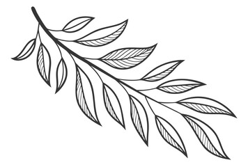 Hand drawn black and white leaf branch illustration