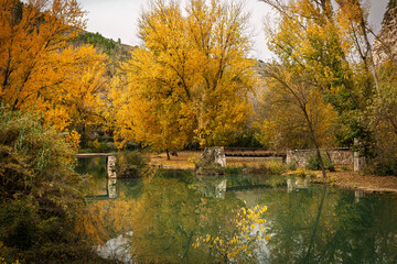 paisaje de bosque en otoño con mantos de hojas en Jorquera, la manchuela, Albacete, Spain, Europa © Ricardo