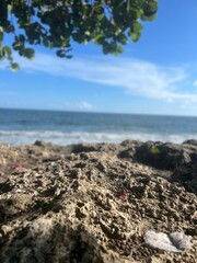 an afternoon at the beach