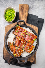 Japanese Cuisine Unadon, grilled unagi eel with rice in a skillet. white background. top view