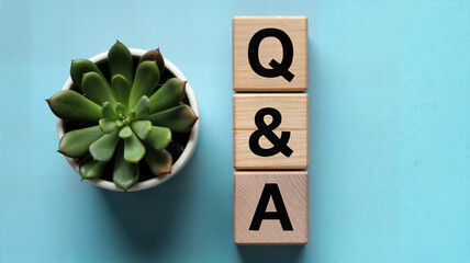 Succulent plant and wooden blocks spelling q&a on a light blue background perfect for business education or informational content with a clean and modern aesthetic