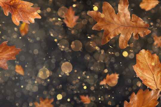 Brown autumn leaves falling against dark background with lights, bokeh effect