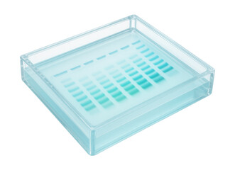Gel electrophoresis showing clear DNA bands of different lengths.