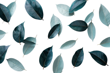 Teal and gray leaves scattered on black