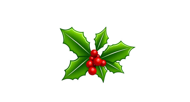 holly,berry,festive,christmasart,iconset,vectorpack,designpack,leafart,leaficon,berryicon,christmassymbol,winterart,natureicon,christmasnature,leafgraphic,berrygraphic,greens,reds,classicstyle,artstyl