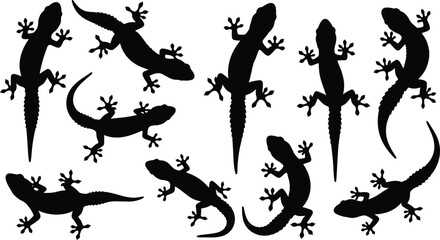 Gecko silhouette vector set with climbing, crawling, curved tail poses for reptile, wildlife, nature, and design themes.