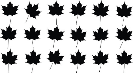 Maple leaf silhouette vector set with black icons, nature symbols, autumn elements, botanical shapes, and seasonal design graphics