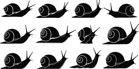 Set of 12 stylized snail silhouettes with varied shell shapes and poses for biological, artistic, and vector design use. © Asha Creatives