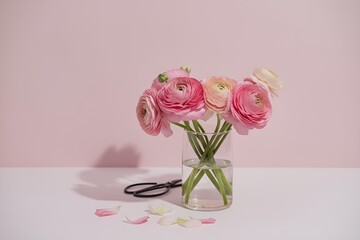 A bouquet of flowering ranunculus pink on a light background. Rich buttercup buds.A beautiful arrangement of pink ranunculus flowers in a vase. generative ai	