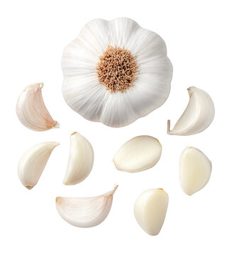 Whole garlic bulb and peeled cloves arranged neatly, isolated on transparent background, studio light setup, high detail