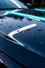 Water droplets glisten on the shiny black surface of a car after a thorough wash at an automotive service station