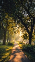 Fototapeta premium Morning Jog on Park Pathway with Golden Sunlight and Lush Greenery