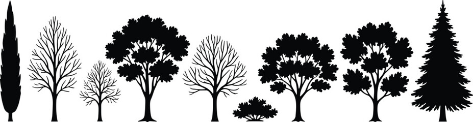 Obraz premium Tree silhouettes, botanical elements, nature icons, forest shapes, seasonal trees, foliage types, landscape design, flat style, vector trees, minimal art