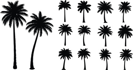 Palm tree silhouette grid, tropical tree shapes, botanical icons, nature design elements, black tree layout, beach graphic set, flat vector illustration