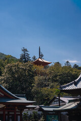 Naklejka premium Curved tiled roofs and vermilion eaves frame the Five Story Pagoda on Miyajima, Hiroshima Prefecture. The pagoda rises from a forested slope, highlighting heritage forms.