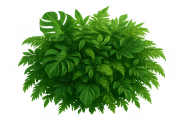 Lush tropical green plant mix creating a vibrant natural bush, adding fresh foliage to any design on transparent background