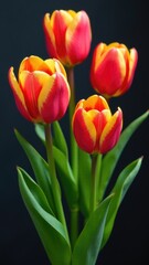 Naklejka premium A bouquet of red and yellow tulips in a decorative vase