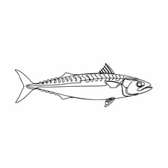 Fototapeta premium Simple Line Art Mackerel Fish Illustration Seafood Underwater Creature