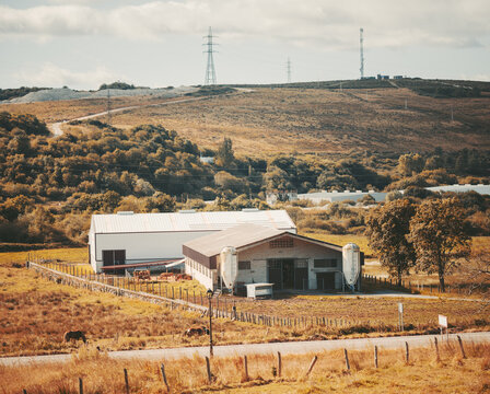 Telephoto autumn view of a rural farm complex in Asturias, with golden fields, grazing animals, rolling hills and power lines under warm light along the Camino de Santiago landscape
