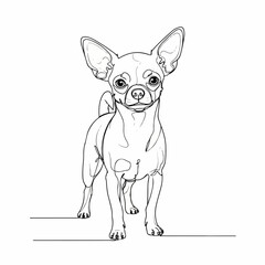 Detailed Handdrawn Cute Chihuahua Breed Line Art Style Illustration