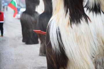 Kukeri Performer in Traditional Fur Costume Parade
