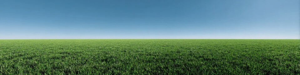 Obraz premium Vast green field under clear blue sky