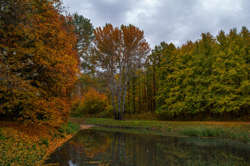 Autumn forest pond with bright trees reflecting in still water