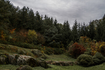 Wild meadow in a natural park with ancient stones under a moody overcast atmosphere