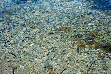 Clear shallow waters with stones and seaweed in sunlight