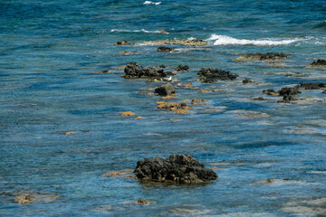 Rocky shoreline in clear blue ocean waters with gentle waves