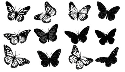 Obraz premium Collection of twelve black and white butterfly illustrations and silhouettes.