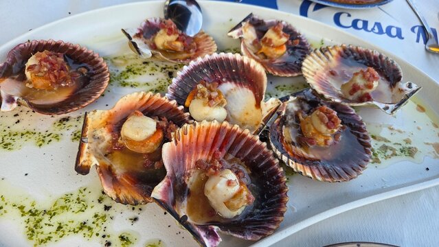 Fresh cooked scallops gourmet seafood dish on restaurant plate. Mimachlamys varia. Grilled scallops. Typical spanish food. Mediterranian diet