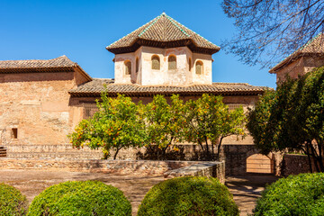 Orange trees in Alhambra gardens, Granada, Spain