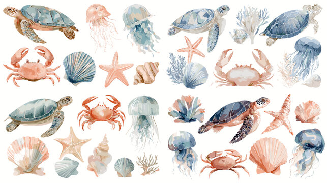 A soft watercolor illustration of sea creatures including turtles, crabs, jellyfish, starfish, seashells, and coral arranged in a marine themed collection.