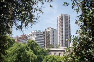Panoramic view of modern high-rise residential and office buildings framed by lush urban greenery on a bright sunny day.