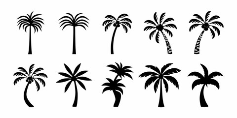Collection of black palm tree silhouettes on white background