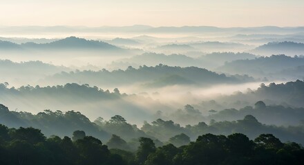 Misty mountain range with forest in the morning sunlight