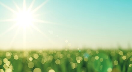 Fototapeta premium Blurred green field with bright sun and blue sky