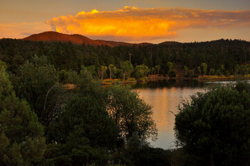 tree lined lake at sunset warm colors reflected on lake.