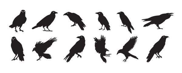 Crow isolated black silhouette set. Crows, raven halloween Dark birds icon clipart